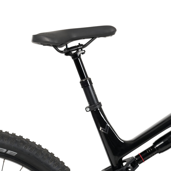 Stelvio E-Fully MTB - myvelo.de