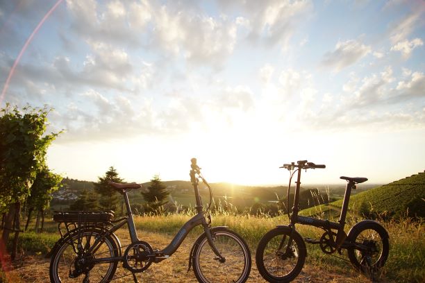 Pedelec, S-Pedelec, E-Bike, Klapprad, Faltrad, E-Klapprad, E-Faltrad, Elektrofahrrad