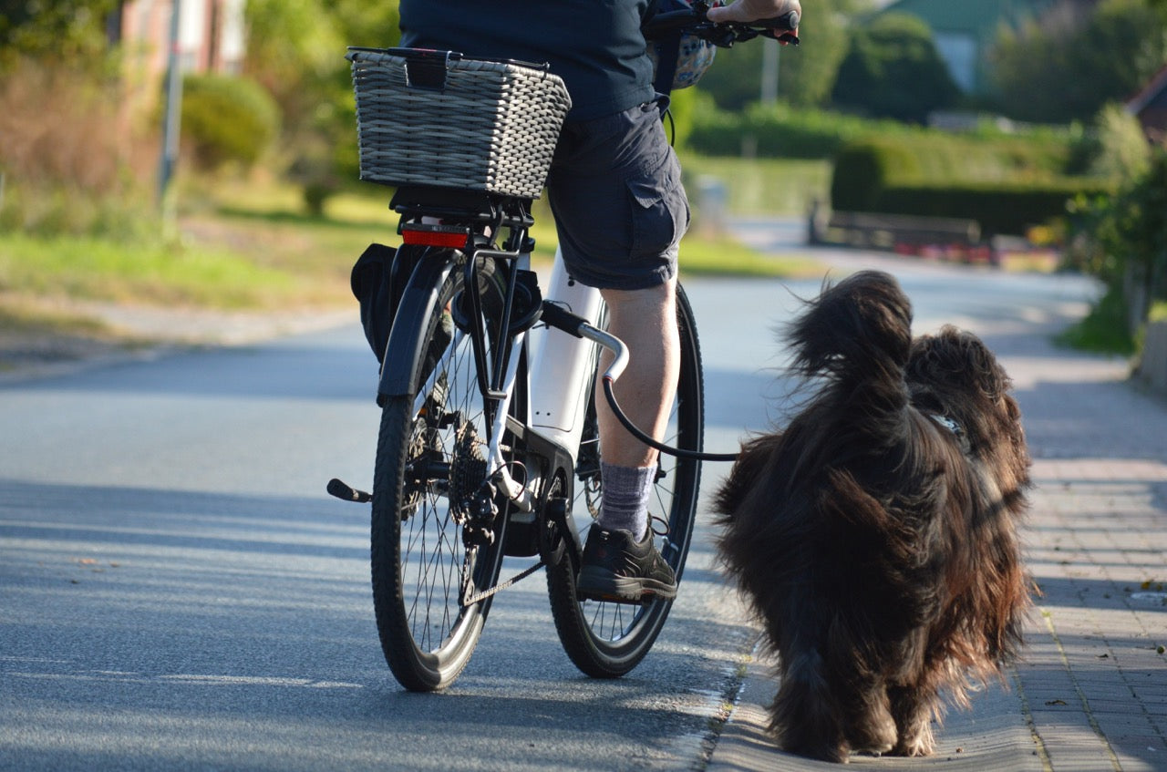 E-Bike & Hund: So klappt die Tour mit dem Vierbeiner