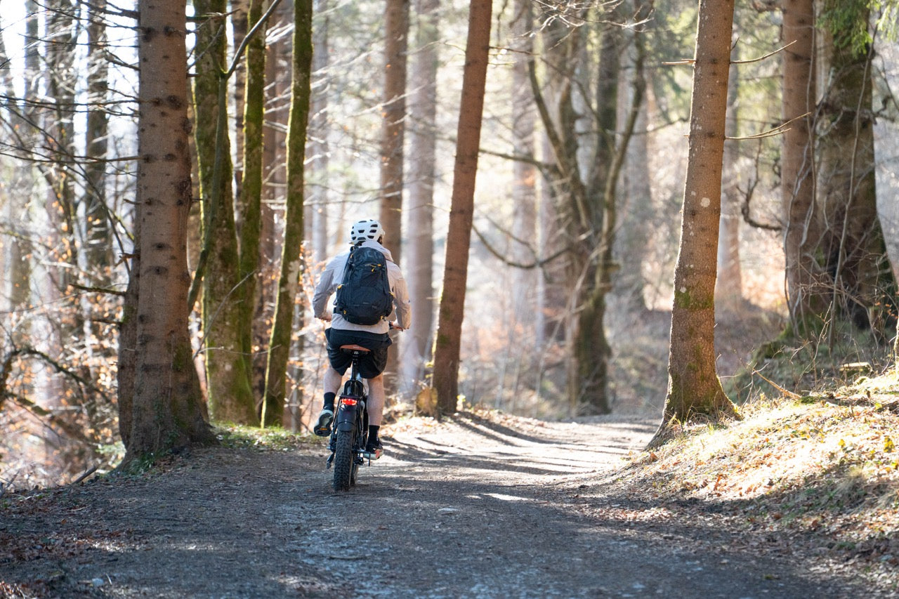 Drehmomentsensor vs. Drehzahlsensor