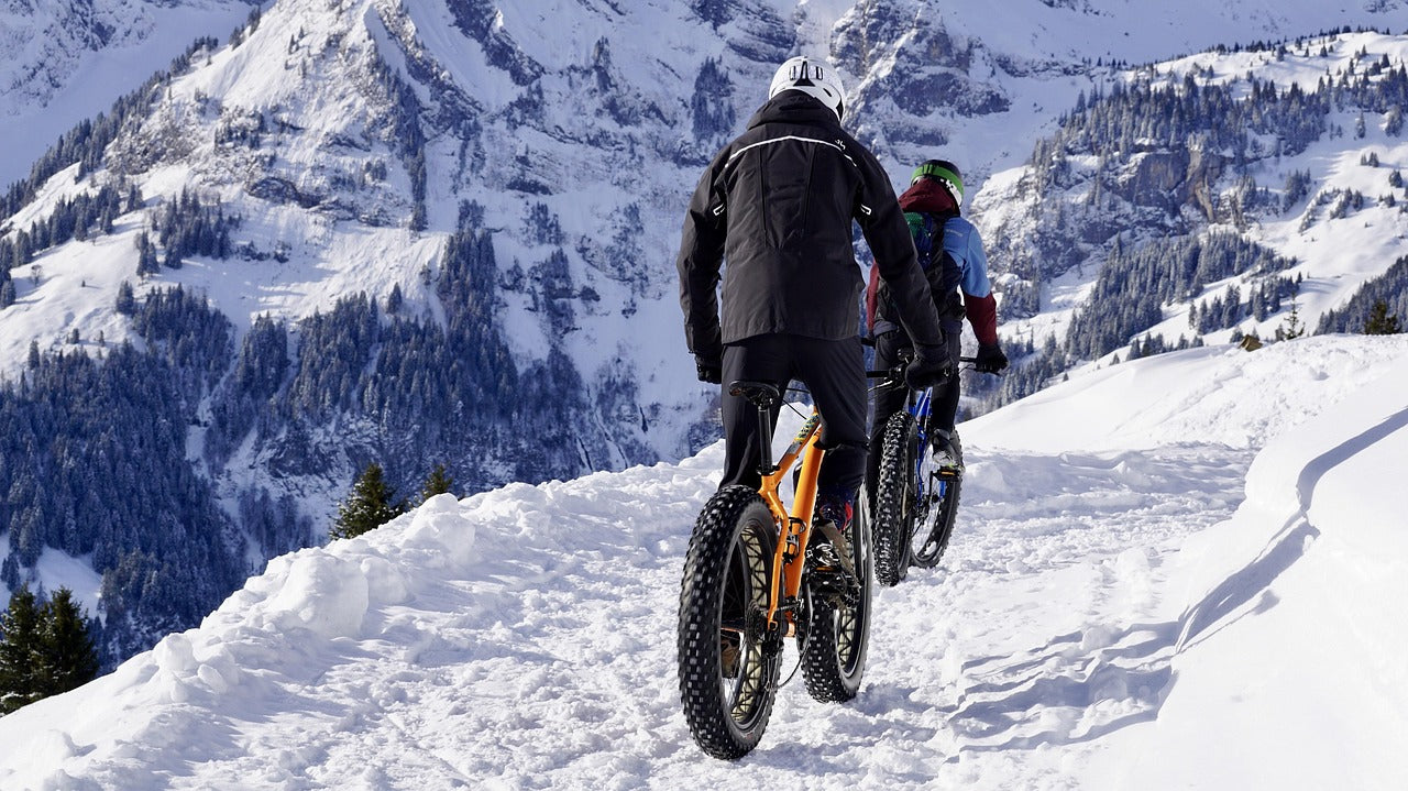 Fat Bike World