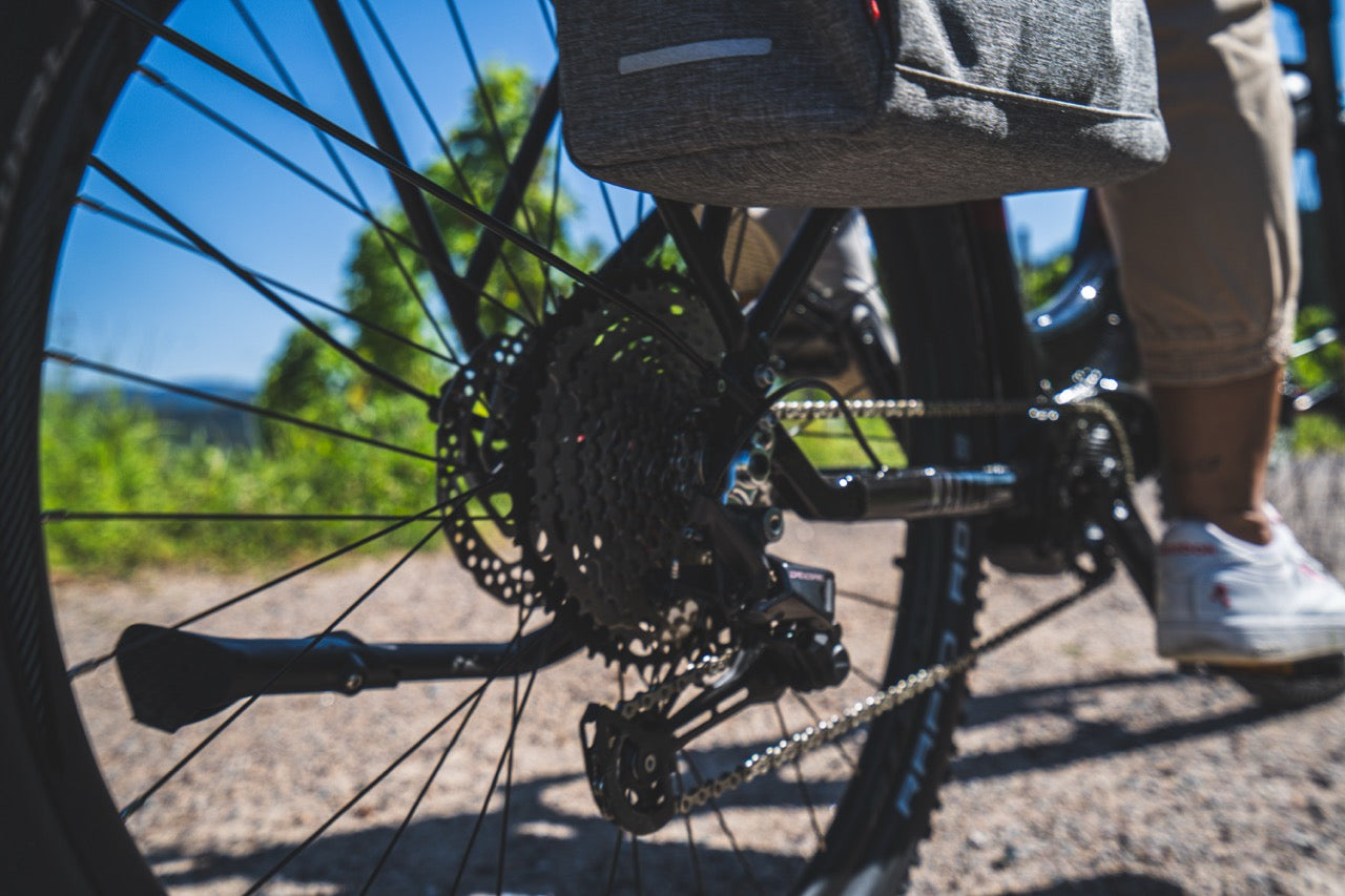 Kosten guter Fahrrad Anhänger