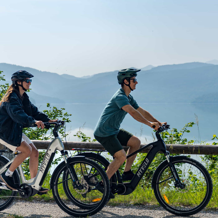 E-Bike-Motor Kadenz Drehmoment