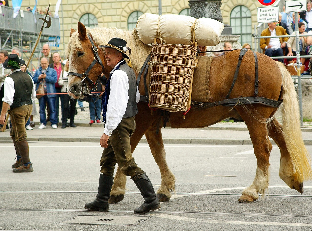 Mit Kraft zum Oktoberfest