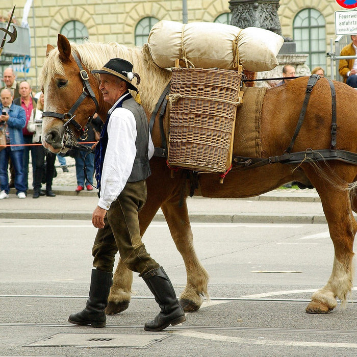 Mit Kraft zum Oktoberfest