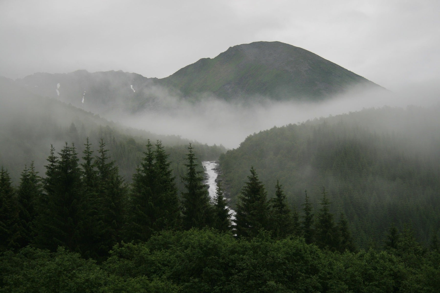 Rennradfahren auf nasser Straße