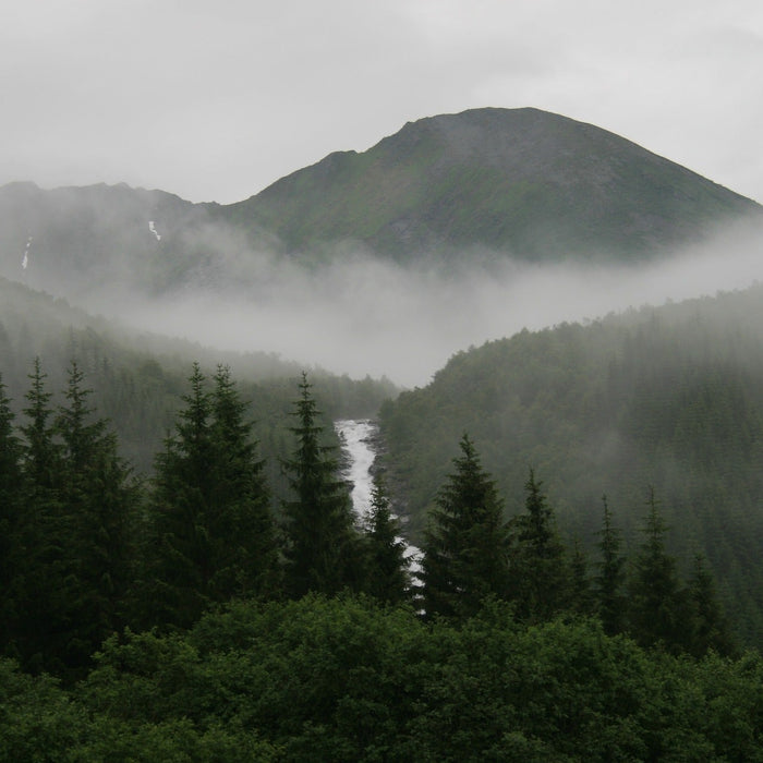 Rennradfahren auf nasser Straße