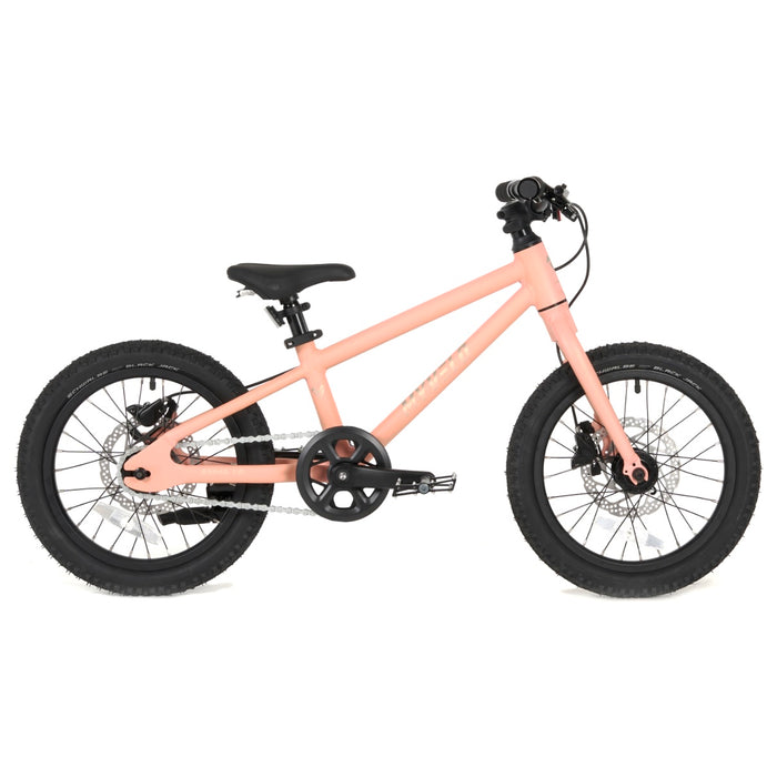 Asha Kinder-MTB - myvelo.de