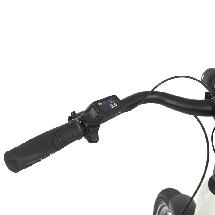 Nizza E-Bike Trekking - myvelo.de