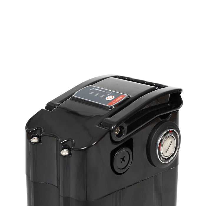 E-Bike Akku für MYVELO Rio & Palma - myvelo.de