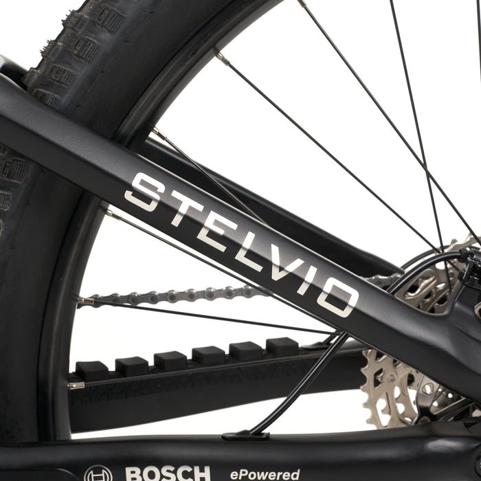 Stelvio E-Fully MTB - myvelo.de