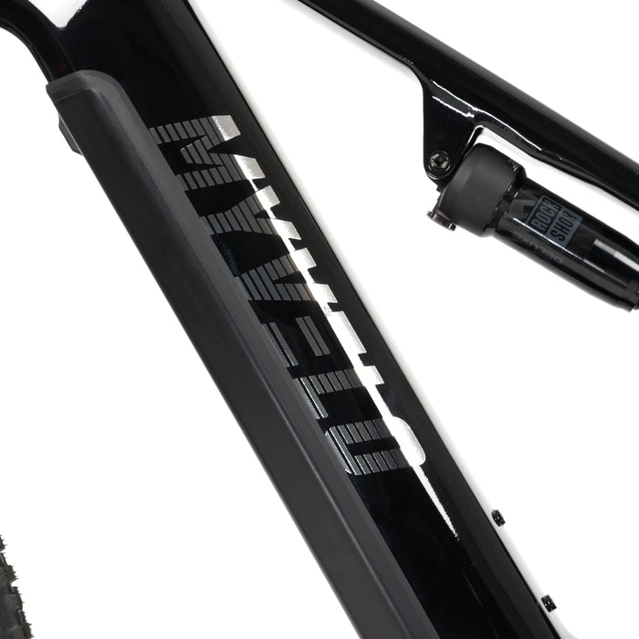 Stelvio E-Fully MTB - myvelo.de