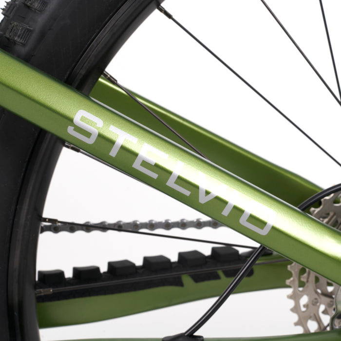 Stelvio E-Fully MTB - myvelo.de