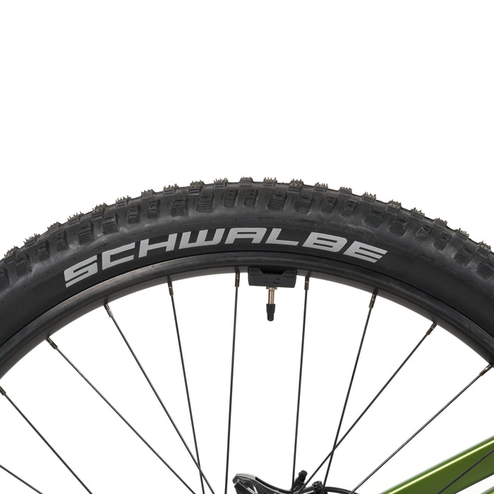 Stelvio E-Fully MTB - myvelo.de