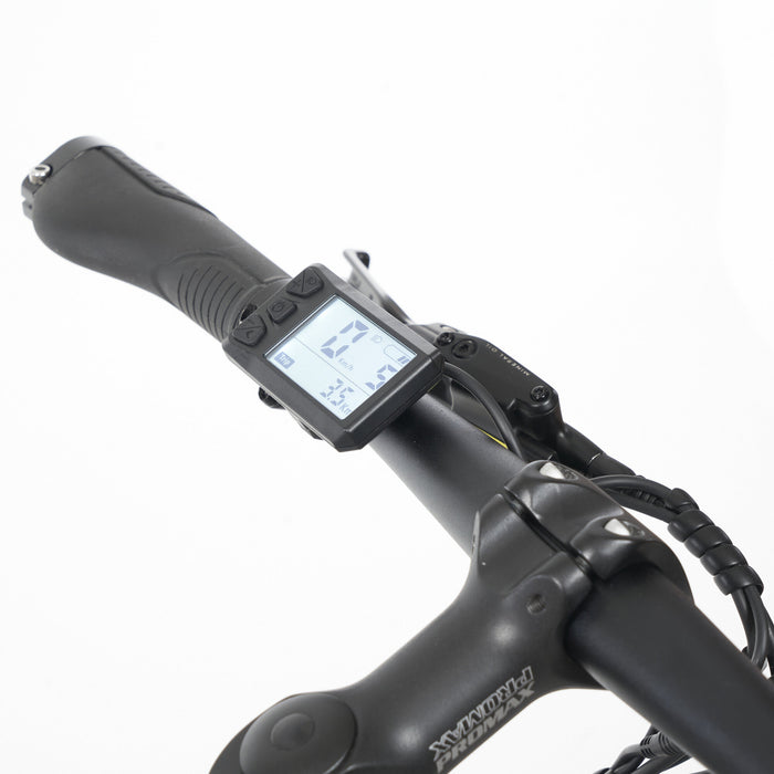 Tokio Singlespeed E-Bike - myvelo.de