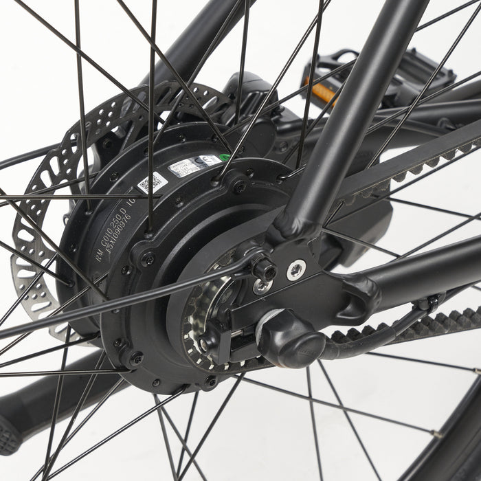 Tokio Singlespeed E-Bike - myvelo.de