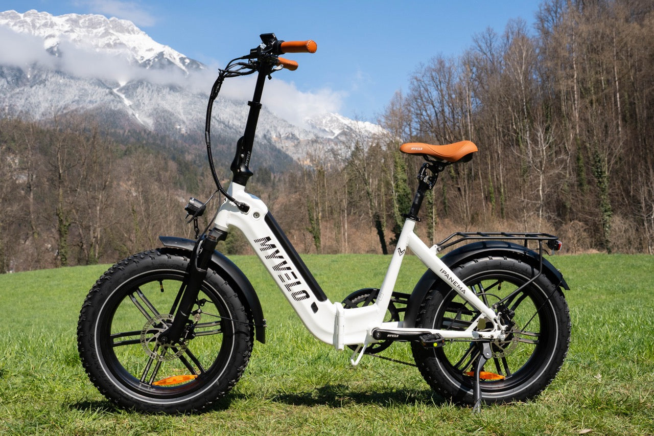 À qui les vélos électriques pliants sont-ils particulièrement avantageux ?